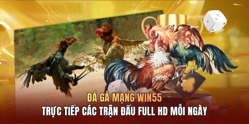 da-ga-mang-win55-truc-tiep-cac-tran-dau-full-hd-moi-ngay