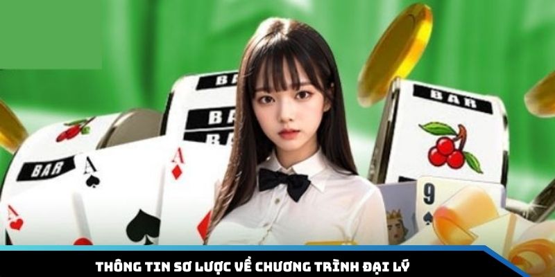 dai-ly-win55-doi-net