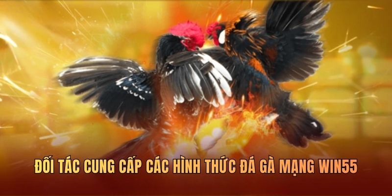 doi-tac-cung-cap-hinh-thuc-da-ga-mang-nha-cai-win55