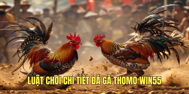 luat-game-da-ga-thomo-tai-win55