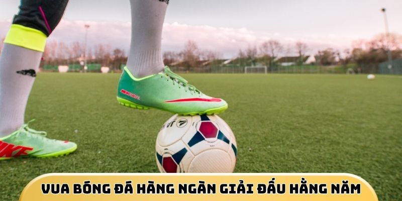 the-thao-win55-vua-bong-da