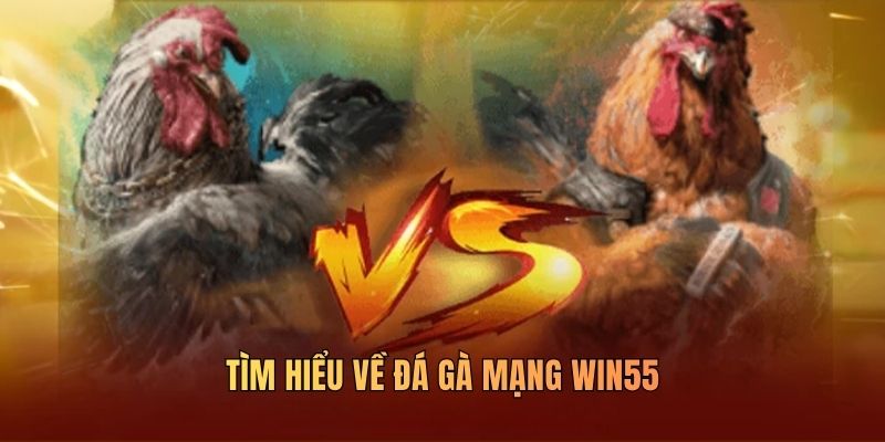 tim-hieu-ve-da-ga-mang-win55
