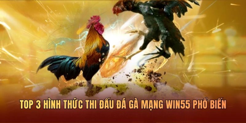 top-3-hinh-thuc-thi-dau-da-ga-mang-win55