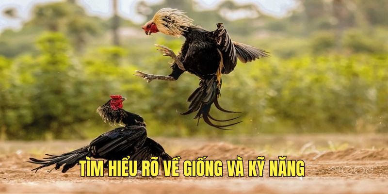 nam-ro-thong-tin-ve-giong-va-ky-nang-cua-ga